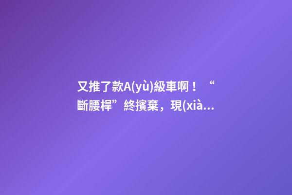 又推了款A(yù)級車啊！“斷腰桿”終擯棄，現(xiàn)代這款很帥的三廂或8萬起？